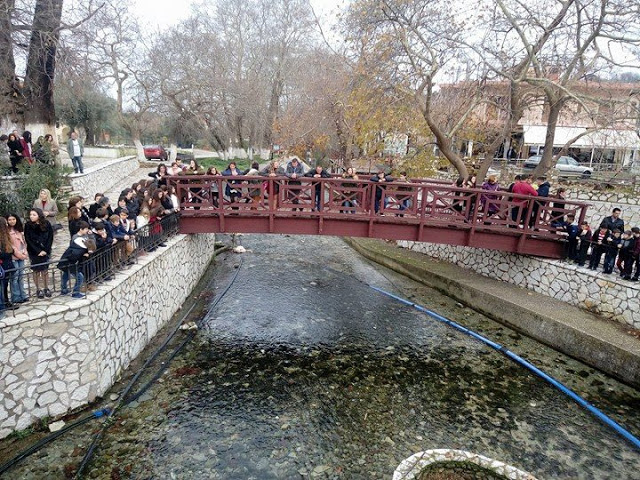 Αγιασμός των υδάτων στο ΠΟΤΑΜΙ στο ΜΟΝΑΣΤΗΡΑΚΙ Βόνιτσας (ΦΩΤΟ-ΒΙΝΤΕΟ: Κώστας Πετρόπουλος) - Φωτογραφία 14