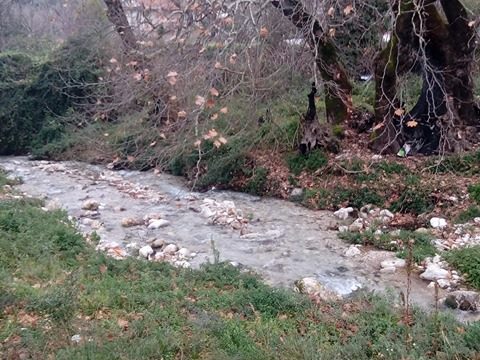 Αγιασμός των υδάτων στο ΠΟΤΑΜΙ στο ΜΟΝΑΣΤΗΡΑΚΙ Βόνιτσας (ΦΩΤΟ-ΒΙΝΤΕΟ: Κώστας Πετρόπουλος) - Φωτογραφία 23