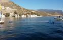 Στο Καστελόριζο η μεγαλύτερη υποβρύχια ελληνική σημαία (φωτογραφίες) - Φωτογραφία 4