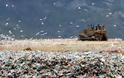Φρίκη με βρέφος που βρέθηκε πολτοποιημένο σε χωματερή στην Κύπρο [photo] - Φωτογραφία 1