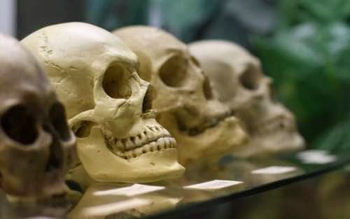 Γιατί οι άνθρωποι είχαν πιο υγιή δόντια πριν από 1.800 χρόνια - Φωτογραφία 1