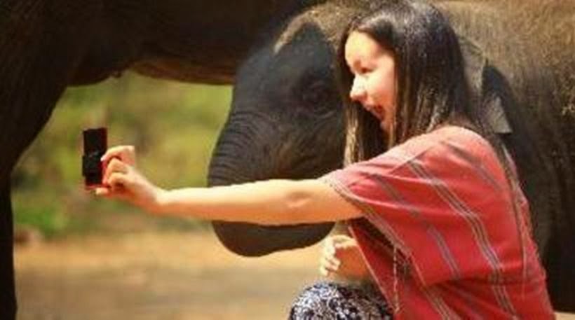 Προσπάθησε να βγάλει selfie με έναν ελέφαντα και τελικά ποδοπατήθηκε από αυτόν... - Φωτογραφία 1