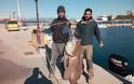 Η ψαριά της χρονιάς - Έβγαλαν σφυρίδα 63 κιλών! - ΦΩΤΟ ΚΑΙ ΒΙΝΤΕΟ - Φωτογραφία 1