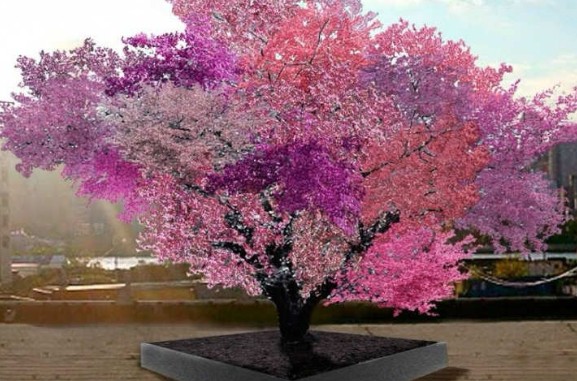 Το δέντρο‑Φρανκενστάιν που παράγει 40 διαφορετικούς καρπούς [video] - Φωτογραφία 1