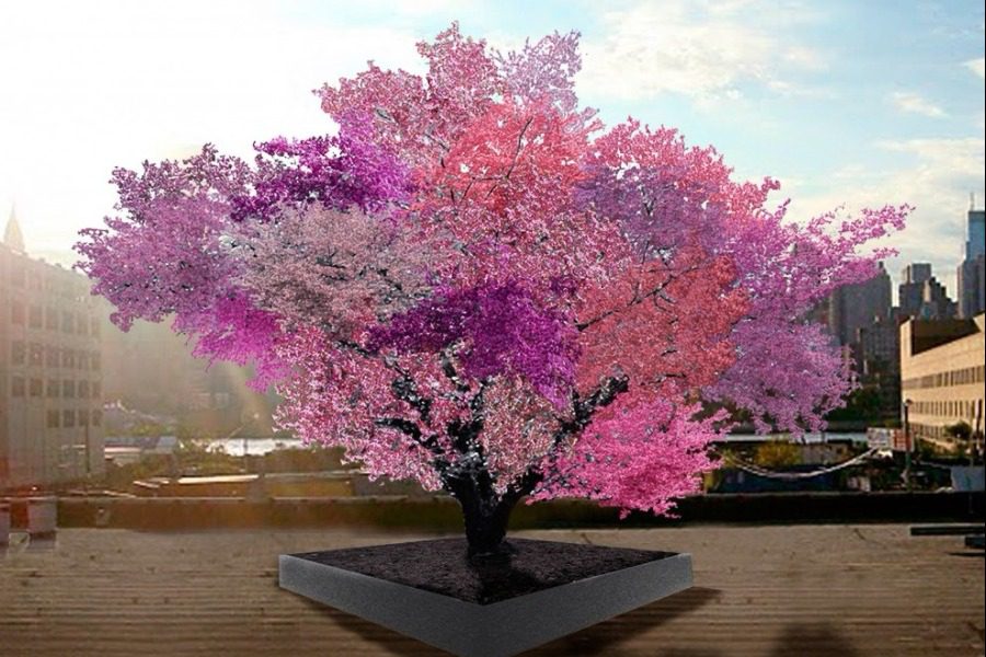Το δέντρο‑Φρανκενστάιν που παράγει 40 διαφορετικούς καρπούς (pics+video) - Φωτογραφία 1