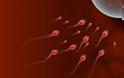 Ποιο χάπι φαίνεται, σύμφωνα με έρευνες, να προκαλεί προβλήματα γονιμότητας στους άνδρες; - Φωτογραφία 1