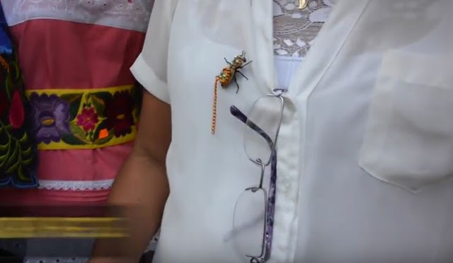 Στο Μεξικό φορούν για αξεσουάρ ζωντανά σκαθάρια - Φωτογραφία 1
