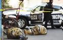 Μεξικό: Εντοπίστηκαν 9 διαμελισμένα πτώματα μέσα σε αυτοκίνητο - Φωτογραφία 1