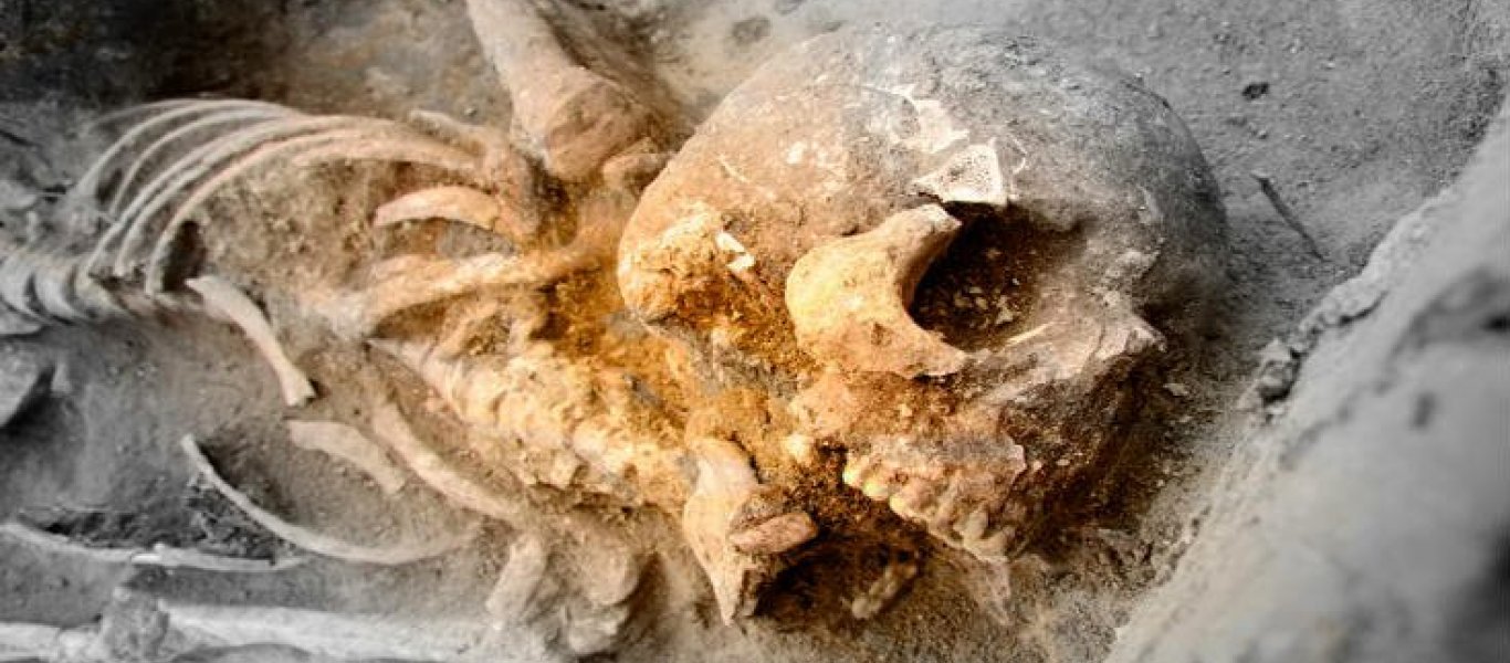 Ερευνητές ανακάλυψαν ένα άγνωστο είδος που εκτρέφονταν με αρχαίους ανθρώπους - Φωτογραφία 1