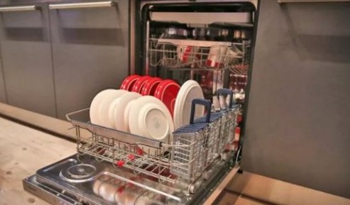 Μικρόβια έχουν τα λάστιχα των πλυντηρίων πιάτων - Φωτογραφία 1