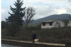 Σκυλάκι απεγλωβίστηκε απο την Π.Υ στο κανάλι του Μόρνου κοντά στις Ερυθρές