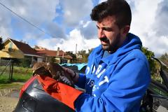 Η διάσωσης μιας γερακίνας απο τον ΠΑΝΟ ΜΠΟΥΡΔΑΡΑ απο την Πλαγιά.