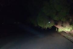 ΑΣΤΑΚΟΣ ΤΩΡΑ: Έπεσε ΠΕΥΚΟ από τον αέρα!