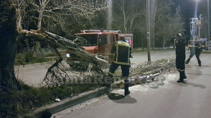 Έριξαν δέντρα και πινακίδες οι αέρηδες στη Λαμία [photo] - Φωτογραφία 4