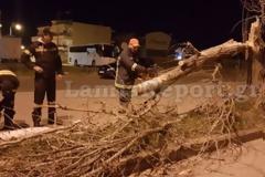 Έριξαν δέντρα και πινακίδες οι αέρηδες στη Λαμία [photo]