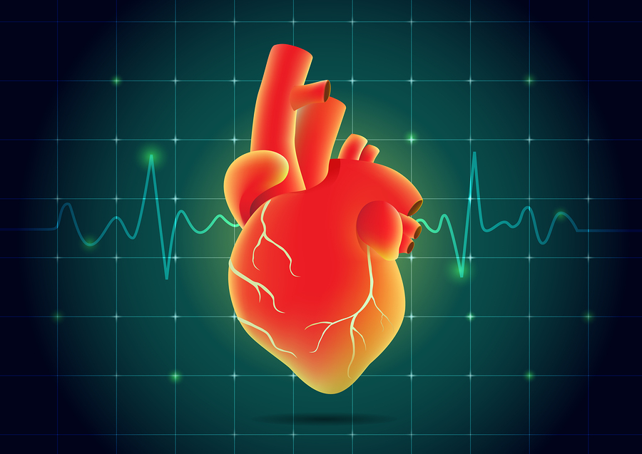 Παλμοί καρδιάς: 5 πράγματα που δείχνουν για την υγεία σας - Φωτογραφία 2