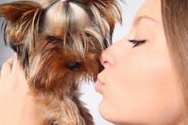 Φιλάτε το σκύλο σας; Δείτε τι μπορείτε να πάθετε - Φωτογραφία 1