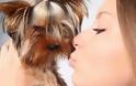 Φιλάτε το σκύλο σας; Δείτε τι μπορείτε να πάθετε