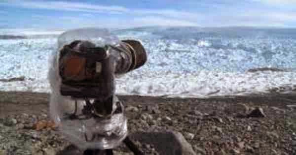Τοποθέτησαν μια φωτογραφική μηχανή σε μια απομακρυσμένη περιοχή της Γροιλανδίας και δείτε τι αντίκρισαν…. - Φωτογραφία 1