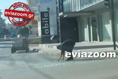 Χαλκίδα: Γέμισε με σπασμένα τζάμια ο δρόμος στη Ληλαντίων μετά από τροχαίο! (ΦΩΤΟ)