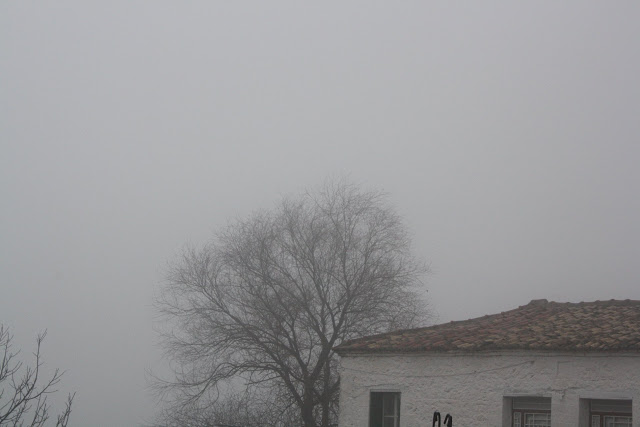 Η ΚΑΤΟΥΝΑ «πνιγμένη» στην ομίχλη! (ΦΩΤΟ: Παναγιώτης Τσούτσουρας) - Φωτογραφία 1