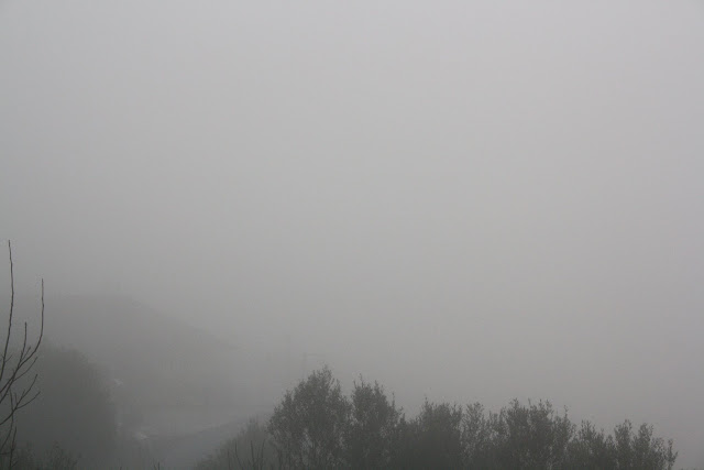 Η ΚΑΤΟΥΝΑ «πνιγμένη» στην ομίχλη! (ΦΩΤΟ: Παναγιώτης Τσούτσουρας) - Φωτογραφία 10
