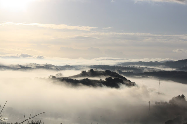 Η ΚΑΤΟΥΝΑ «πνιγμένη» στην ομίχλη! (ΦΩΤΟ: Παναγιώτης Τσούτσουρας) - Φωτογραφία 11