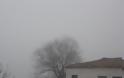 Η ΚΑΤΟΥΝΑ «πνιγμένη» στην ομίχλη! (ΦΩΤΟ: Παναγιώτης Τσούτσουρας)