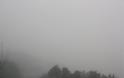 Η ΚΑΤΟΥΝΑ «πνιγμένη» στην ομίχλη! (ΦΩΤΟ: Παναγιώτης Τσούτσουρας) - Φωτογραφία 10