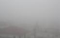 Η ΚΑΤΟΥΝΑ «πνιγμένη» στην ομίχλη! (ΦΩΤΟ: Παναγιώτης Τσούτσουρας) - Φωτογραφία 4