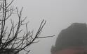 Η ΚΑΤΟΥΝΑ «πνιγμένη» στην ομίχλη! (ΦΩΤΟ: Παναγιώτης Τσούτσουρας) - Φωτογραφία 8