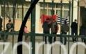 Σάλος με την ανάρτηση της αλβανικής σημαίας σε σχολείο (ΦΩΤΟ)
