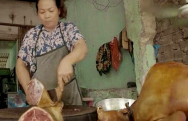 ΦΡΙΚΙΑΣΤΙΚΕΣ εικόνες από τη βιομηχανία σκυλίσιου κρέατος στο Βιετνάμ...[video] - Φωτογραφία 1