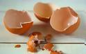 Μην πετάτε τα τσόφλια των αυγών... Δείτε γιατί είναι πολύ χρήσιμα!