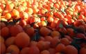 Λαχαναγορά Ρέντη: Δεσμεύτηκαν 5,6 τόνοι πορτοκάλια και κλημεντίνες