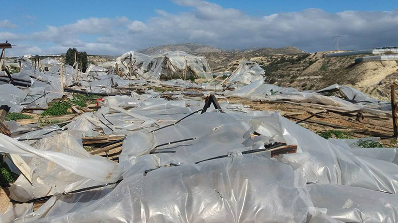 «Πήρε ο αέρας» το Λασίθι: «Ξηλώθηκαν» θερμοκήπια και τούμπαραν αποθήκες! - Φωτογραφία 10