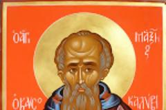 10158 - Η Πανήγυρις του οσίου Μαξίμου του Καυσοκαλύβη στα Καυσοκαλύβια