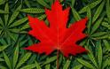Καναδάς: Η χώρα στην οποία «βασιλεύει» η κάνναβη