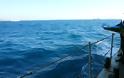 Ρίψη στεφάνου ΥΕΘΑ Πάνου Καμμένου στον τόπο θυσίας των τριών ηρώων Ελλήνων Αξιωματικών του ΠΝ στο θαλάσσιο χώρο των Ιμίων