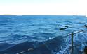 Ρίψη στεφάνου ΥΕΘΑ Πάνου Καμμένου στον τόπο θυσίας των τριών ηρώων Ελλήνων Αξιωματικών του ΠΝ στο θαλάσσιο χώρο των Ιμίων - Φωτογραφία 4