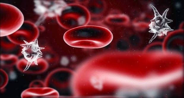 Χαμηλά αιμοπετάλια (θρομβοπενία) και αυξημένα αιμοπετάλια (θρομβοκυττάρωση). Που οφείλονται οι διαταραχές των αιμοπεταλίων - Φωτογραφία 1