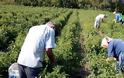 Αιτωλοακαρνανία: Ενημέρωση των παραγωγών για τη «Μείωση της ρύπανσης νερού από γεωργική δραστηριότητα»