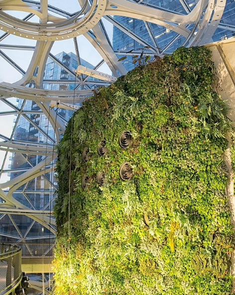 Spheres: Ένα τροπικό δάσος μέσα σε τρεις σφαίρες τα νέα γραφεία της Amazon! - Φωτογραφία 5