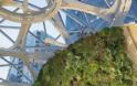 Spheres: Ένα τροπικό δάσος μέσα σε τρεις σφαίρες τα νέα γραφεία της Amazon! - Φωτογραφία 5