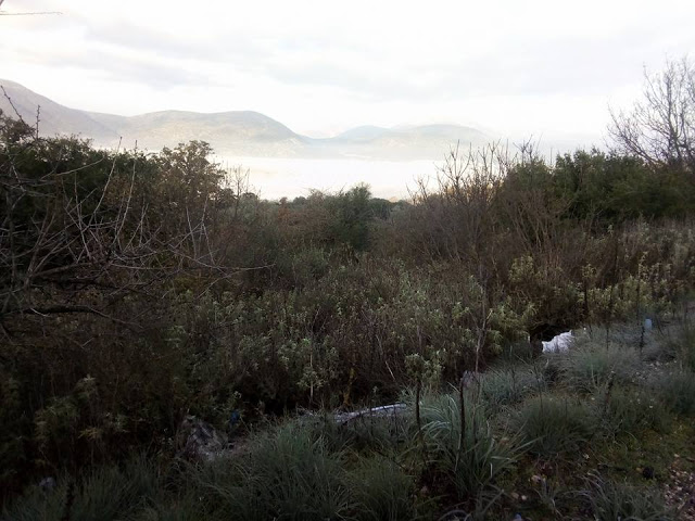 όμορφες φώτο από το χωριό Πρόδρομος Ξηρομέρου - Φωτογραφία 10