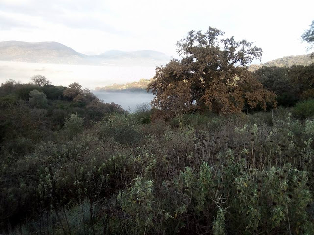 όμορφες φώτο από το χωριό Πρόδρομος Ξηρομέρου - Φωτογραφία 8