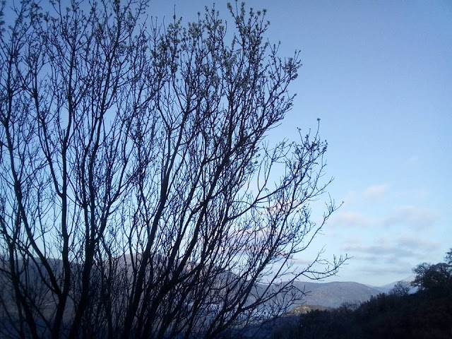 Χειμωνιάτικες εικόνες απο το ΑΓΡΑΜΠΕΛΟ (ΦΩΤΟ) - Φωτογραφία 10