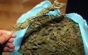 Συλλήψεις για ναρκωτικά στο Αγρίνιο: 22χρονος με 900 gr χασίς