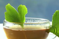 Τζίνγκο μπιλόμπα (Ginkgo Biloba), για την μνήμη, την άνοια, την συγκέντρωση, τις εμβοές, την εκφύλιση ωχράς κηλίδας
