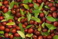 Είναι οι καρποί της τζιτζιφιάς το νέο superfood;